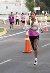 ניטצו סיפרו